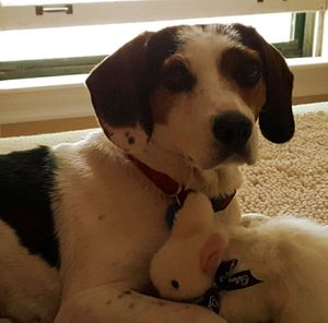 Meet your Posher, Rhoda